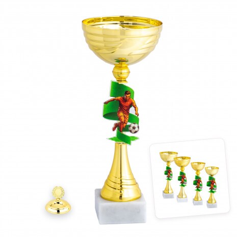 Cupă de fotbal Lothar D