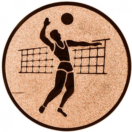 Volei (bărbați) Inserție
