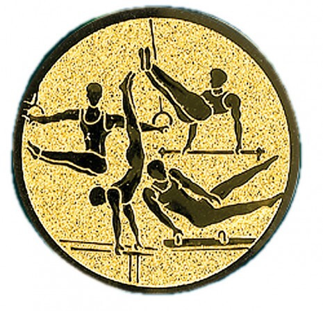 Gimnastică Inserție