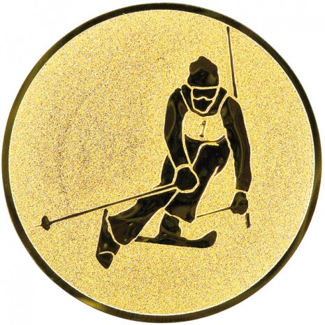 Ski alpin Inserție