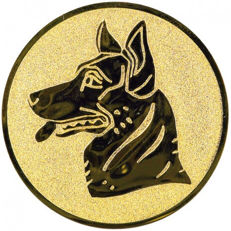 Câine Inserție