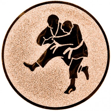 Judo Inserție