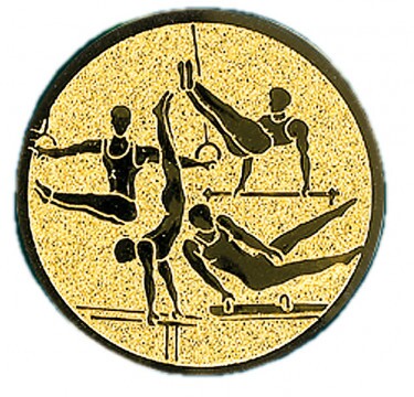 Gimnastică Inserție