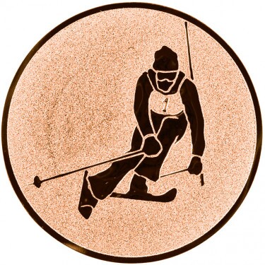 Ski alpin Inserție