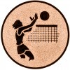 Volei (femei) Inserție aur 50 mm
